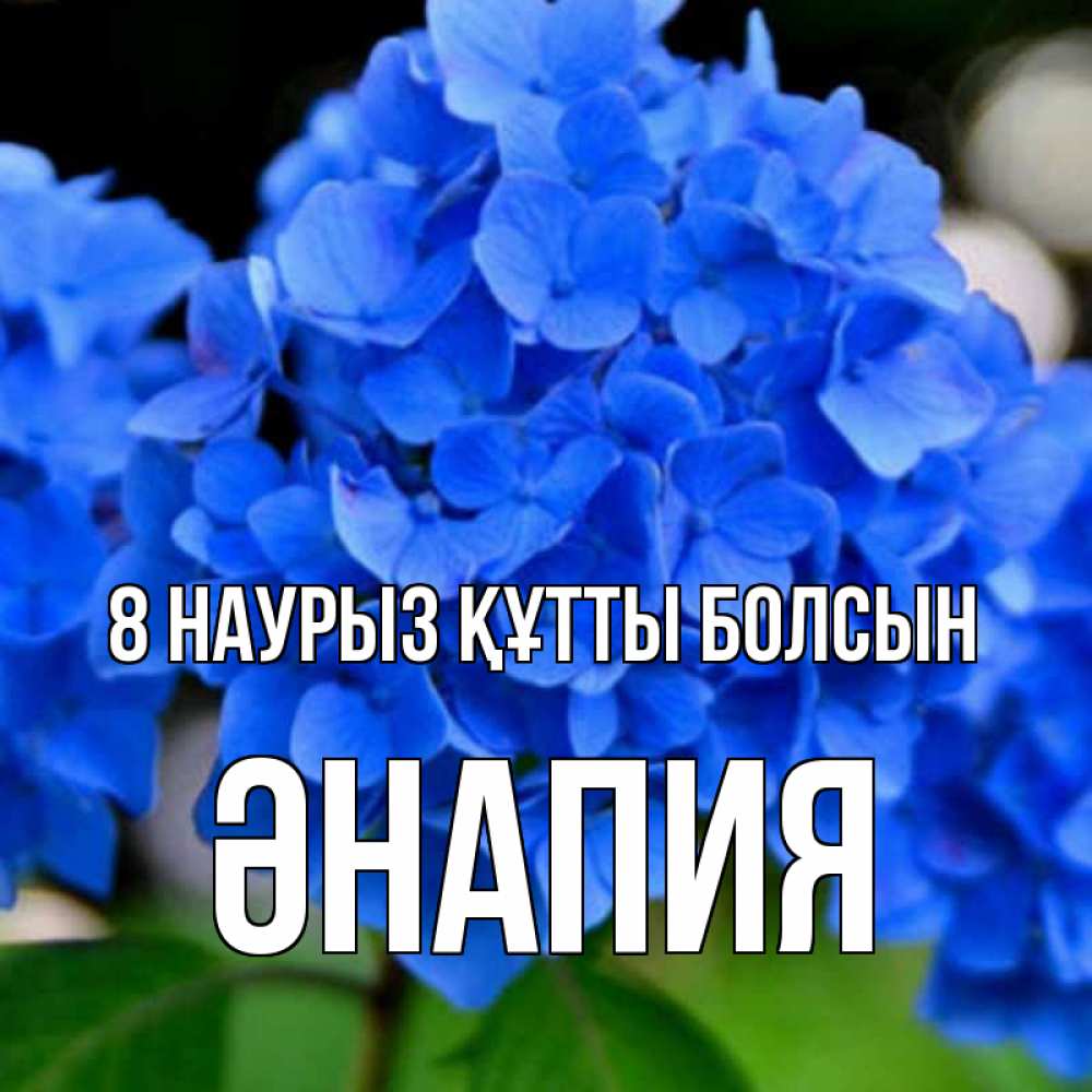 Күн сайын ашық хат с именем, ӘНАПИЯ 8 наурыз құтты болсын синие цветы Онлайн тегін жүктеп алу тілектері бар керемет карта 