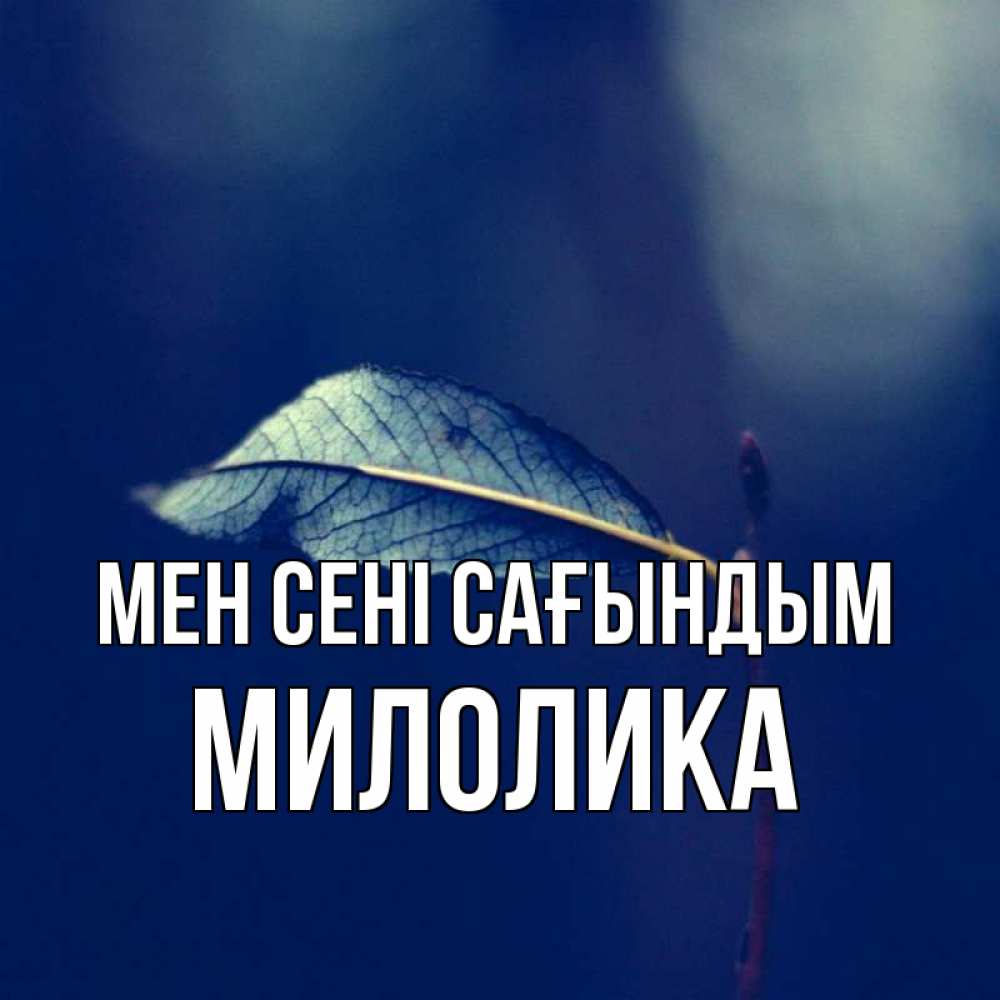 Күн сайын ашық хат с именем, Милолика Мен сені сағындым одна ветка 1 Онлайн тегін жүктеп алу тілектері бар керемет карта 