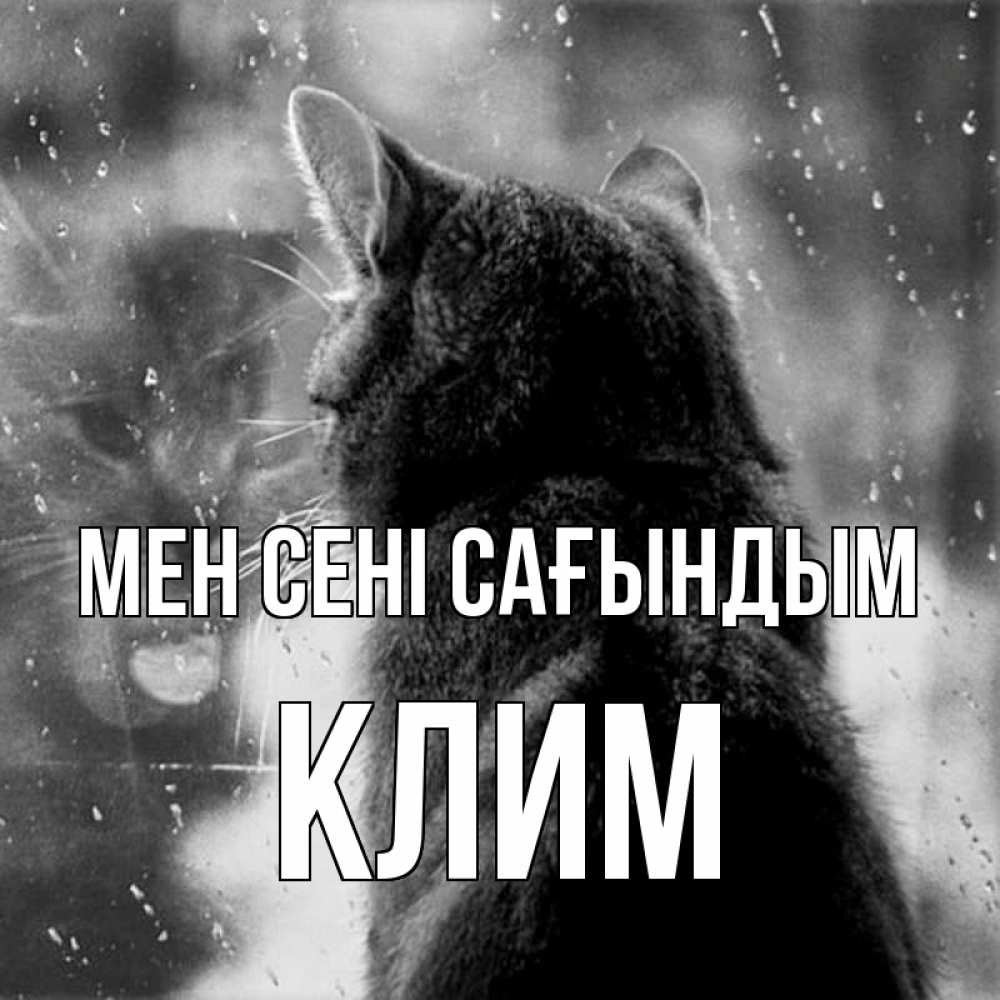 Күн сайын ашық хат с именем, Клим Мен сені сағындым скорее ко мне приходи 1 Онлайн тегін жүктеп алу тілектері бар керемет карта 