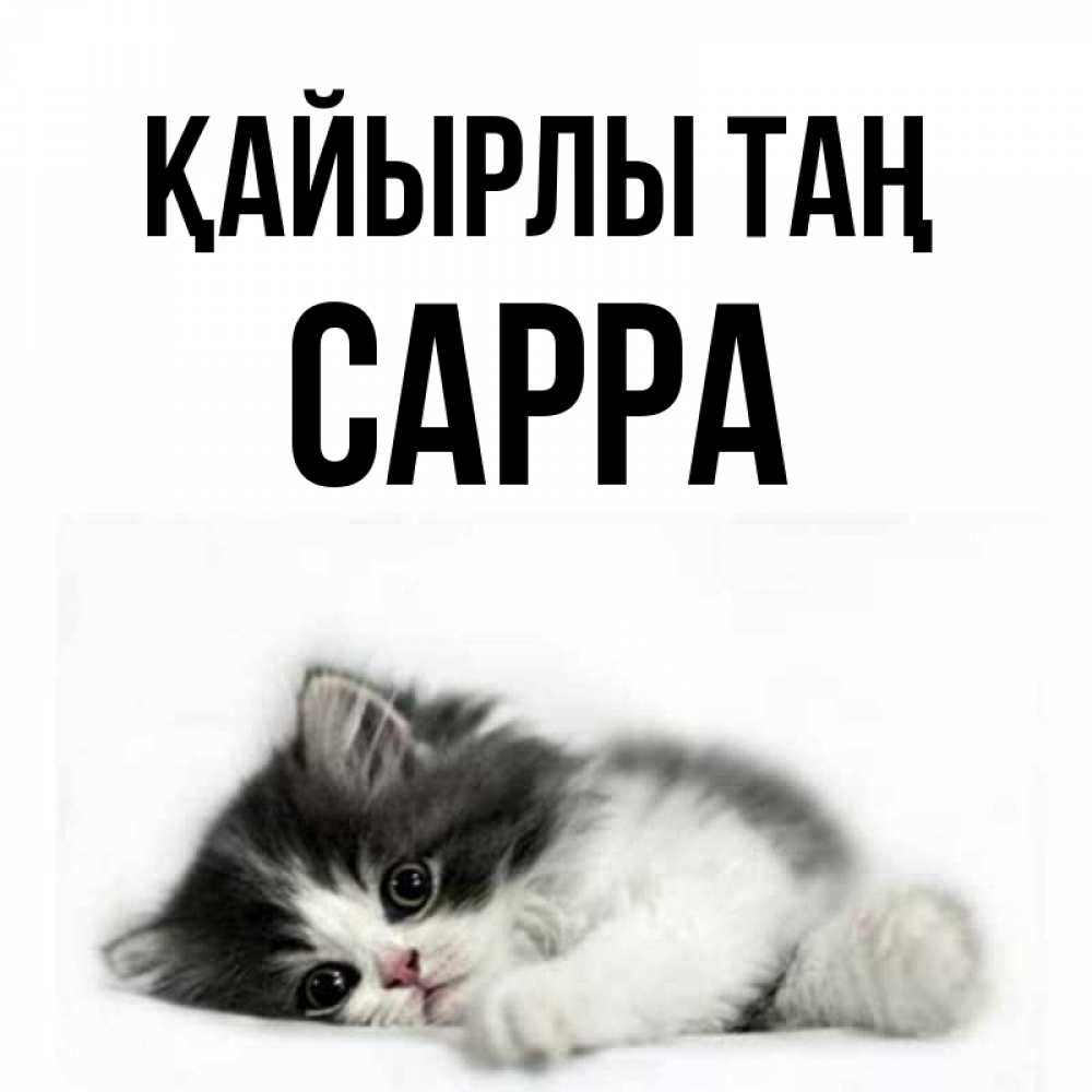 Күн сайын ашық хат с именем, Сарра Қайырлы таң кот лапки Онлайн тегін жүктеп алу тілектері бар керемет карта 