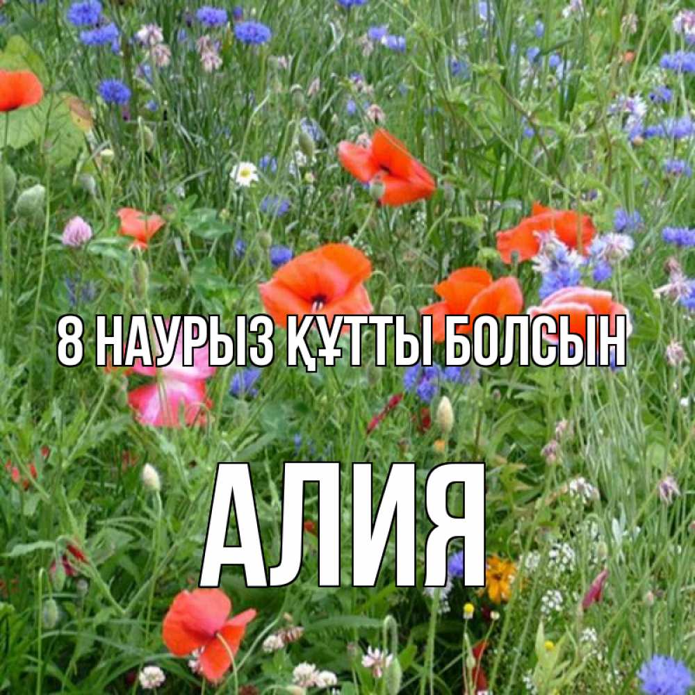Күн сайын ашық хат с именем, Алия 8 наурыз құтты болсын международный женский день 4 Онлайн тегін жүктеп алу тілектері бар керемет карта 