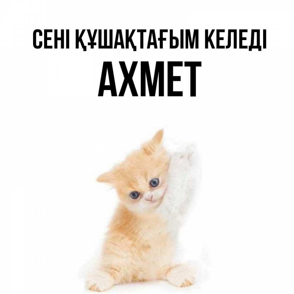 Күн сайын ашық хат с именем, Ахмет сені құшақтағым келеді я хочу очень скорее обнимаешек Онлайн тегін жүктеп алу тілектері бар керемет карта 