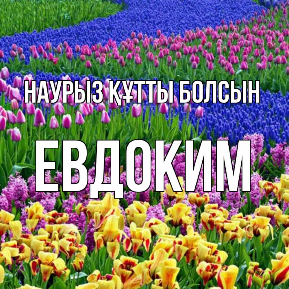 Күн сайын ашық хат с именем, Евдоким Наурыз құтты болсын цветы Онлайн тегін жүктеп алу тілектері бар керемет карта 