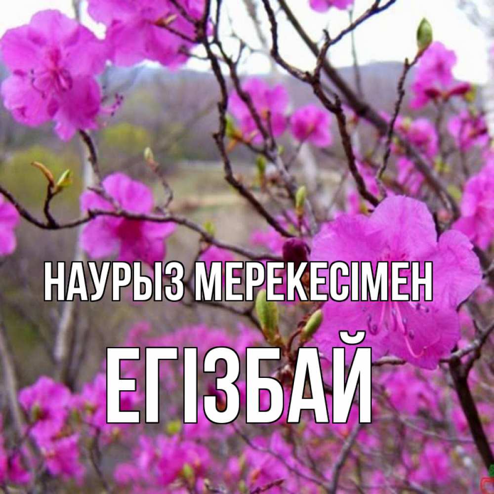 Күн сайын ашық хат с именем, Егізбай Наурыз мерекесімен праздник весны наурыз Онлайн тегін жүктеп алу тілектері бар керемет карта 