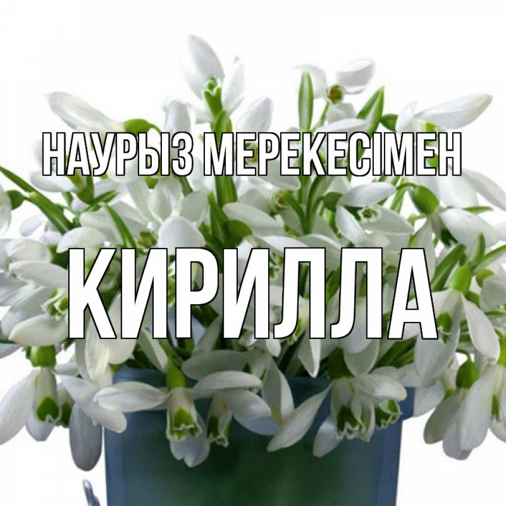 Күн сайын ашық хат с именем, Кирилла Наурыз мерекесімен цветы к наурызу новый год в Казахстане Онлайн тегін жүктеп алу тілектері бар керемет карта 