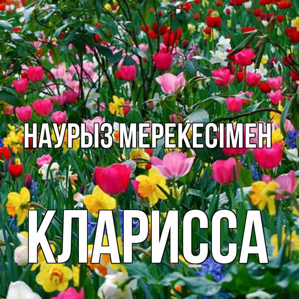 Күн сайын ашық хат с именем, Кларисса Наурыз мерекесімен с наурызом праздником весны поздравления для женщины Онлайн тегін жүктеп алу тілектері бар керемет карта 