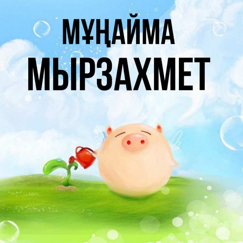 Күн сайын ашық хат с именем, МЫРЗАХМЕТ Мұңайма поливает цветок порося Онлайн тегін жүктеп алу тілектері бар керемет карта 