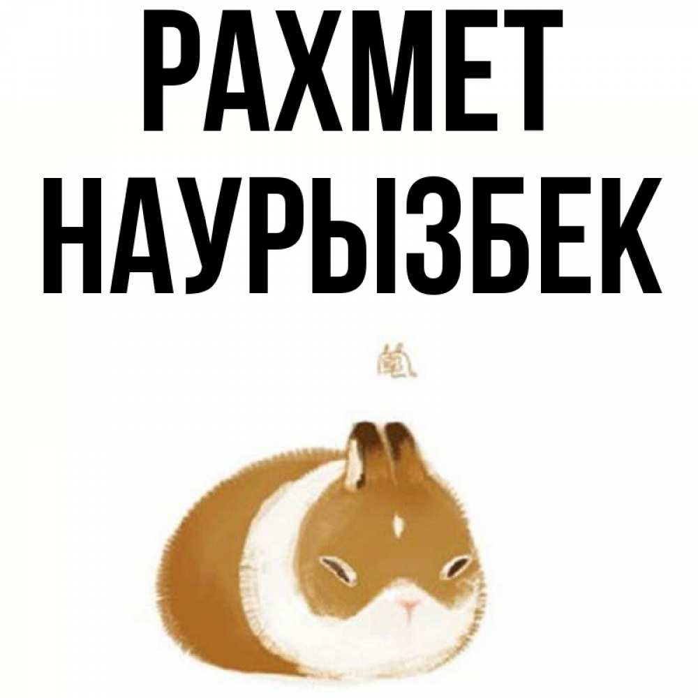 Күн сайын ашық хат с именем, Наурызбек рахмет коричнево белый домашний питомец Онлайн тегін жүктеп алу тілектері бар керемет карта 