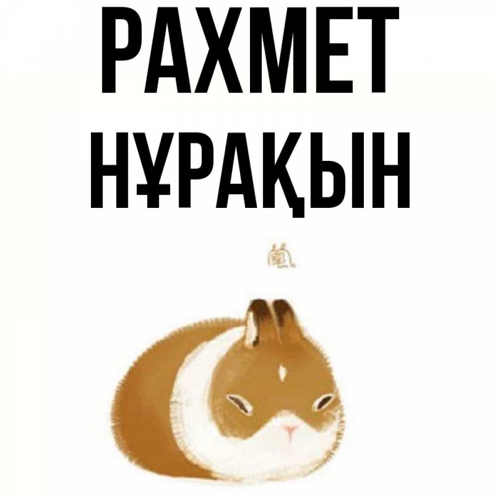 Күн сайын ашық хат с именем, НҰРАҚЫН рахмет коричнево белый домашний питомец Онлайн тегін жүктеп алу тілектері бар керемет карта 