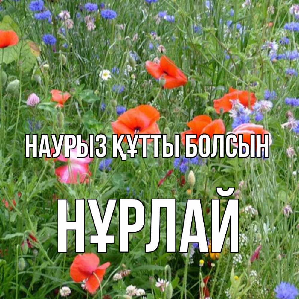 Күн сайын ашық хат с именем, НҰРЛАЙ Наурыз құтты болсын наурыз  4 Онлайн тегін жүктеп алу тілектері бар керемет карта 