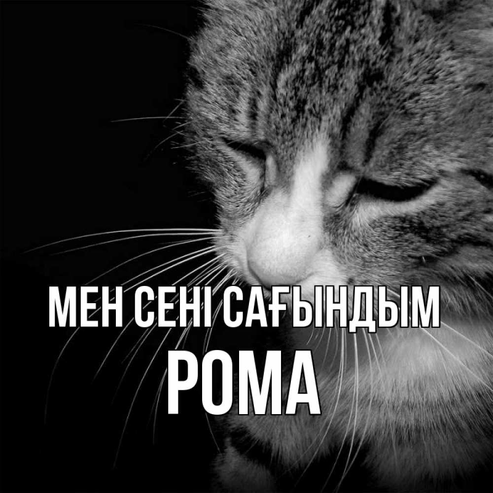 Күн сайын ашық хат с именем, Рома Мен сені сағындым мне скучно Онлайн тегін жүктеп алу тілектері бар керемет карта 