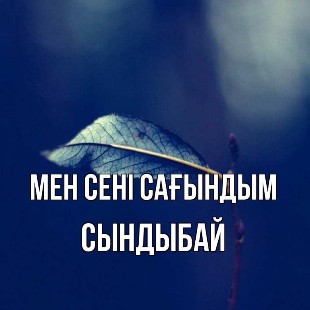 Күн сайын ашық хат с именем, СЫНДЫБАЙ Мен сені сағындым одна ветка 1 Онлайн тегін жүктеп алу тілектері бар керемет карта 