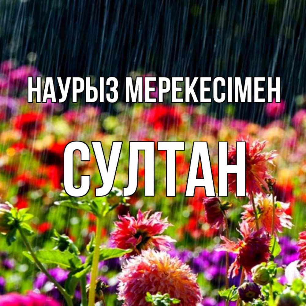 Күн сайын ашық хат с именем, Султан Наурыз мерекесімен цветы под дождиком к международному женскому дню Онлайн тегін жүктеп алу тілектері бар керемет карта 