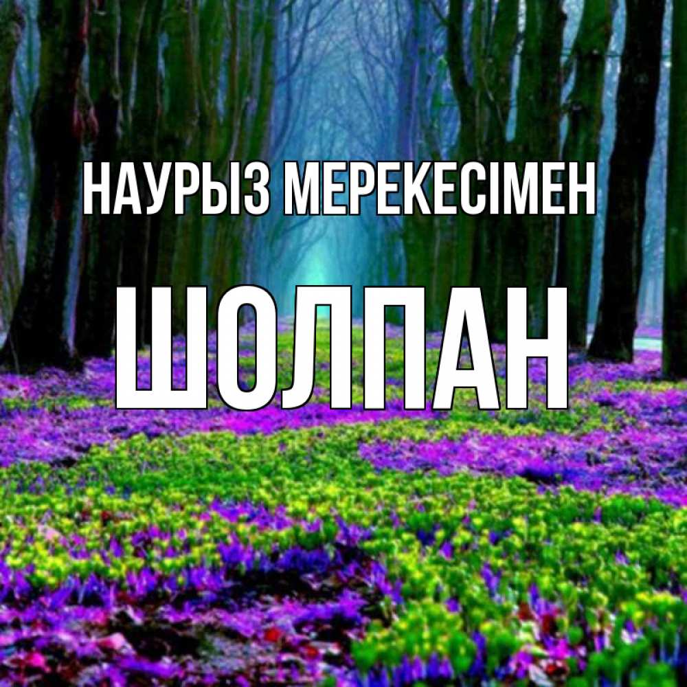 Күн сайын ашық хат с именем, ШОЛПАН Наурыз мерекесімен фиолетовые цветы в лесу 1 Онлайн тегін жүктеп алу тілектері бар керемет карта 