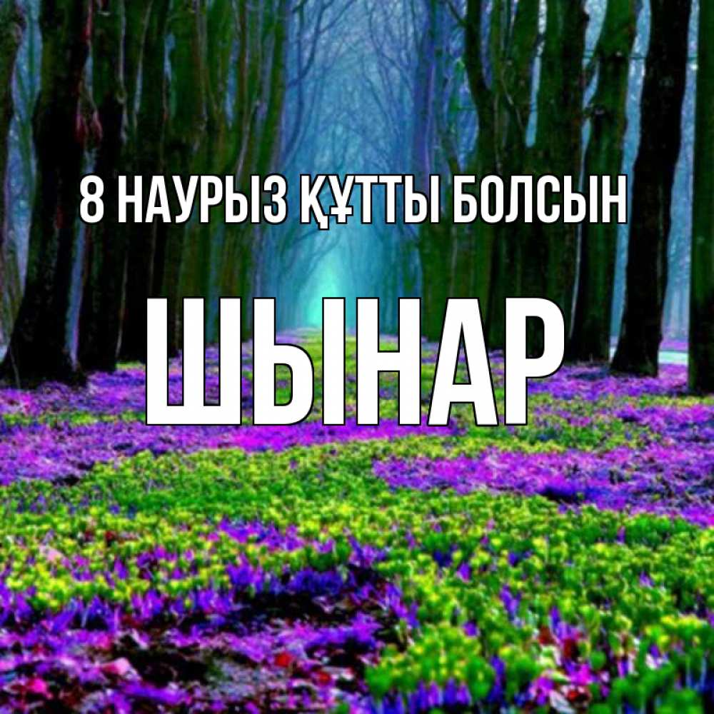 Күн сайын ашық хат с именем, ШЫНАР 8 наурыз құтты болсын фиолетовые цветы в лесу 1 Онлайн тегін жүктеп алу тілектері бар керемет карта 