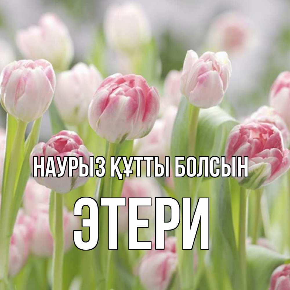 Күн сайын ашық хат с именем, Этери Наурыз құтты болсын цветы Онлайн тегін жүктеп алу тілектері бар керемет карта 