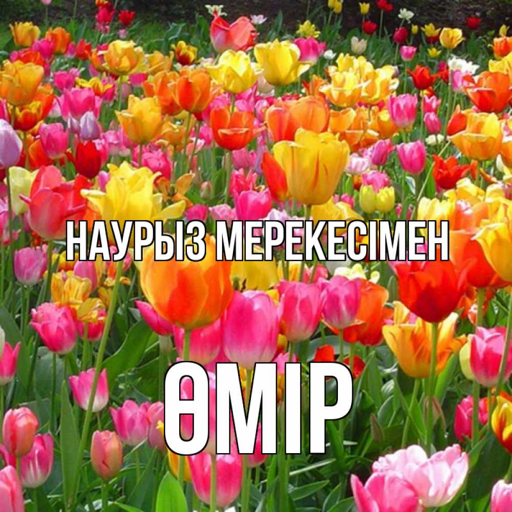 Күн сайын ашық хат с именем, ӨМІР Наурыз мерекесімен праздник весны наурыз 4 Онлайн тегін жүктеп алу тілектері бар керемет карта 