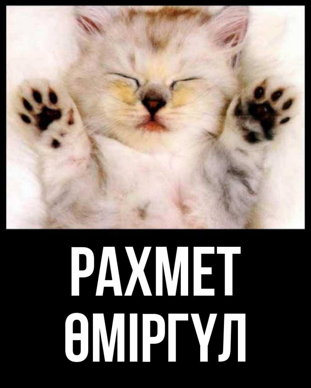 Күн сайын ашық хат с именем, ӨМІРГҮЛ рахмет маленький котенок Онлайн тегін жүктеп алу тілектері бар керемет карта 