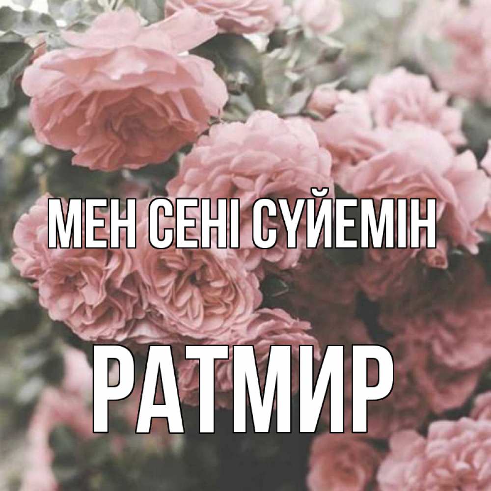 Күн сайын ашық хат с именем, Ратмир Мен сені сүйемін розы 3 Онлайн тегін жүктеп алу тілектері бар керемет карта 