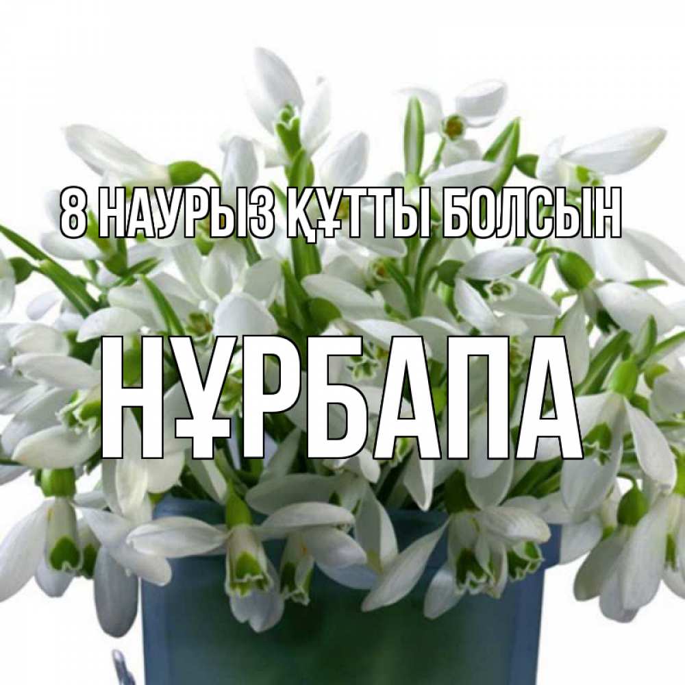 Күн сайын ашық хат с именем, НҰРБАПА 8 наурыз құтты болсын цветы к международному женскому дню Онлайн тегін жүктеп алу тілектері бар керемет карта 