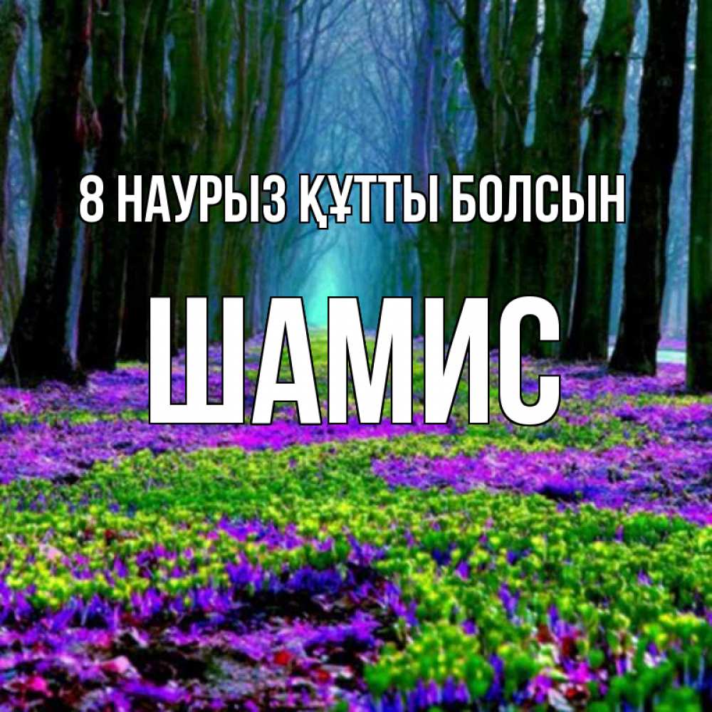 Күн сайын ашық хат с именем, ШАМИС 8 наурыз құтты болсын фиолетовые цветы в лесу 1 Онлайн тегін жүктеп алу тілектері бар керемет карта 