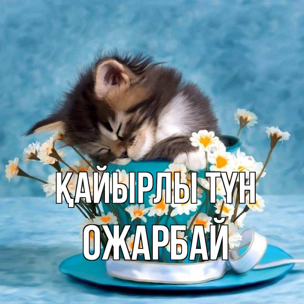 Күн сайын ашық хат с именем, ОЖАРБАЙ Қайырлы түн котенок спит в кружке с блюдцем Онлайн тегін жүктеп алу тілектері бар керемет карта 