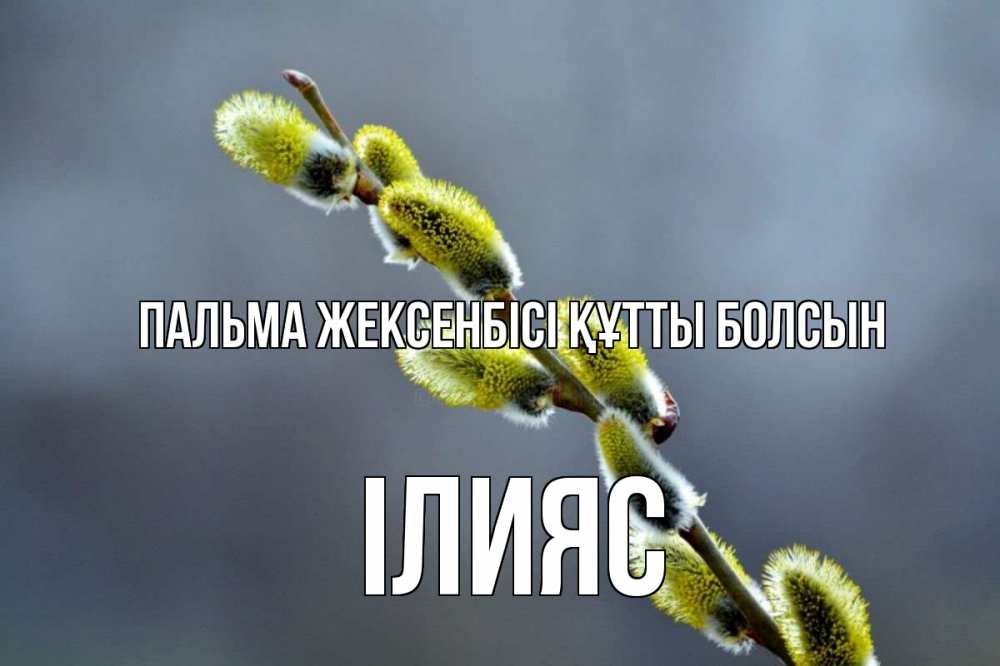 Күн сайын ашық хат с именем, ІЛИЯС Пальма жексенбісі құтты болсын верба Онлайн тегін жүктеп алу тілектері бар керемет карта 