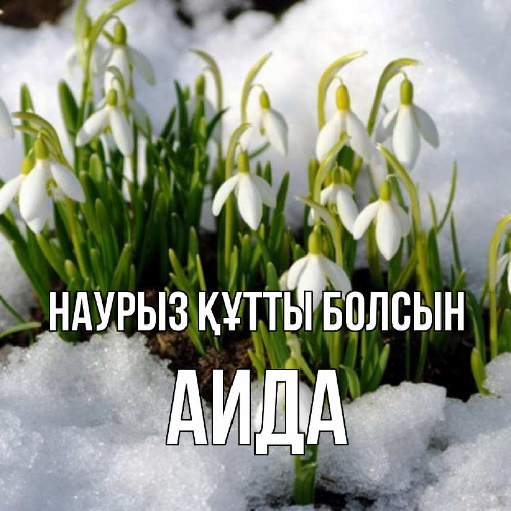 Күн сайын ашық хат с именем, АИДА Наурыз құтты болсын цветы весенние Онлайн тегін жүктеп алу тілектері бар керемет карта 