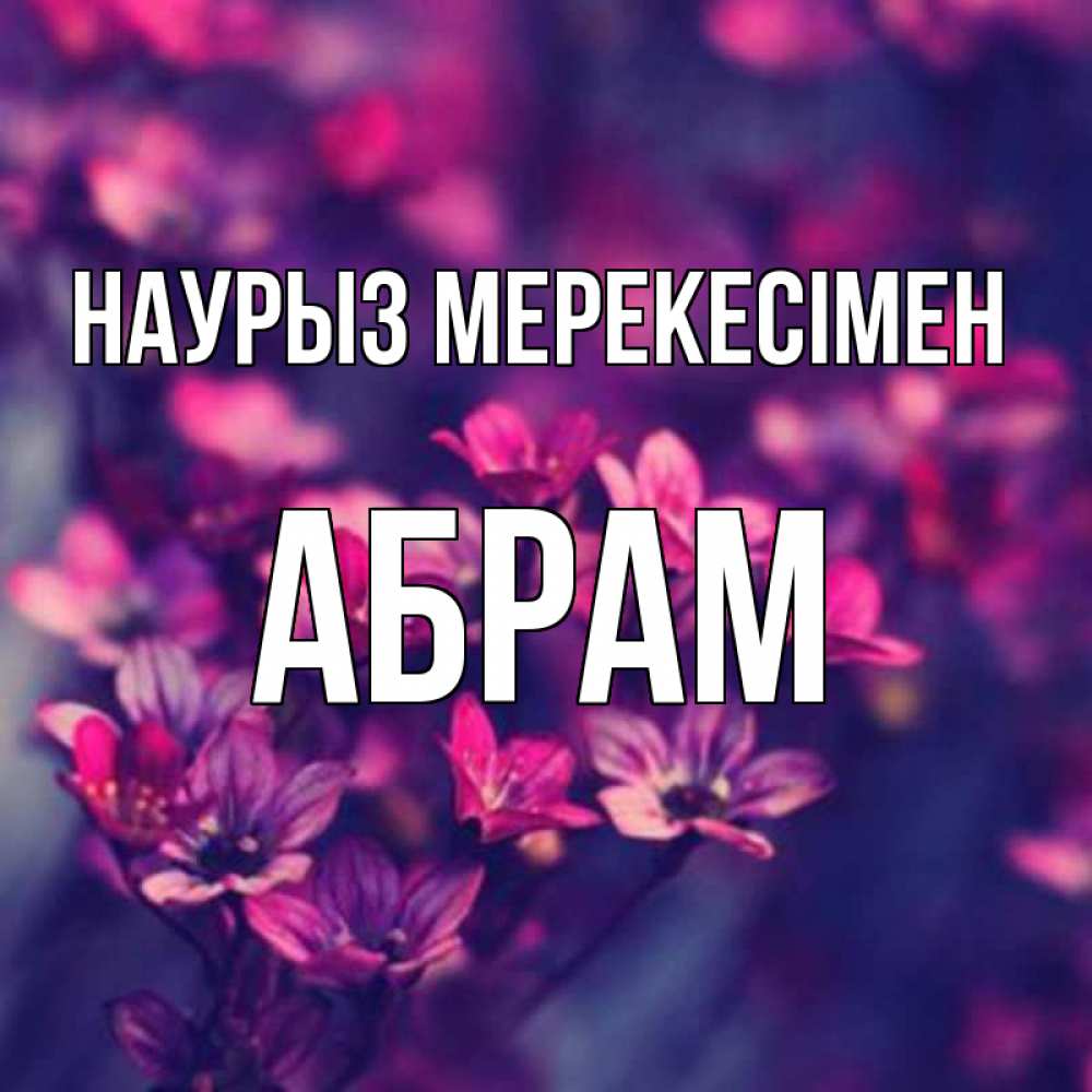 Күн сайын ашық хат с именем, Абрам Наурыз мерекесімен небольшие цветы 1 Онлайн тегін жүктеп алу тілектері бар керемет карта 