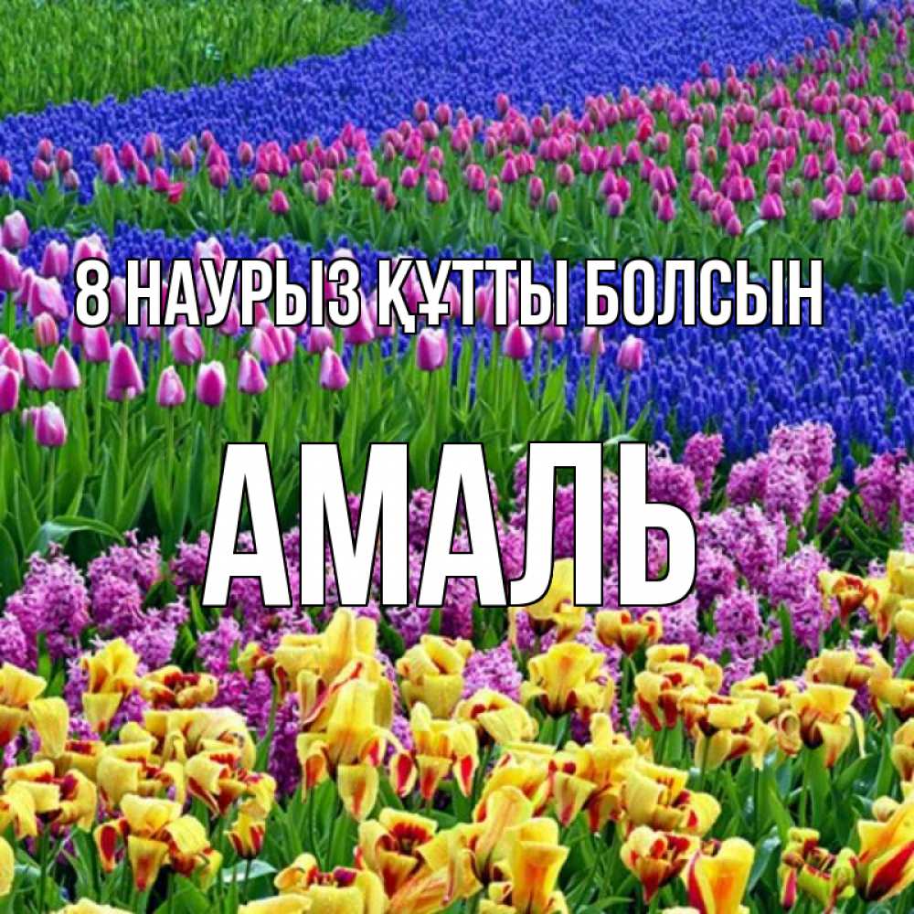 Күн сайын ашық хат с именем, Амаль 8 наурыз құтты болсын цветы Онлайн тегін жүктеп алу тілектері бар керемет карта 