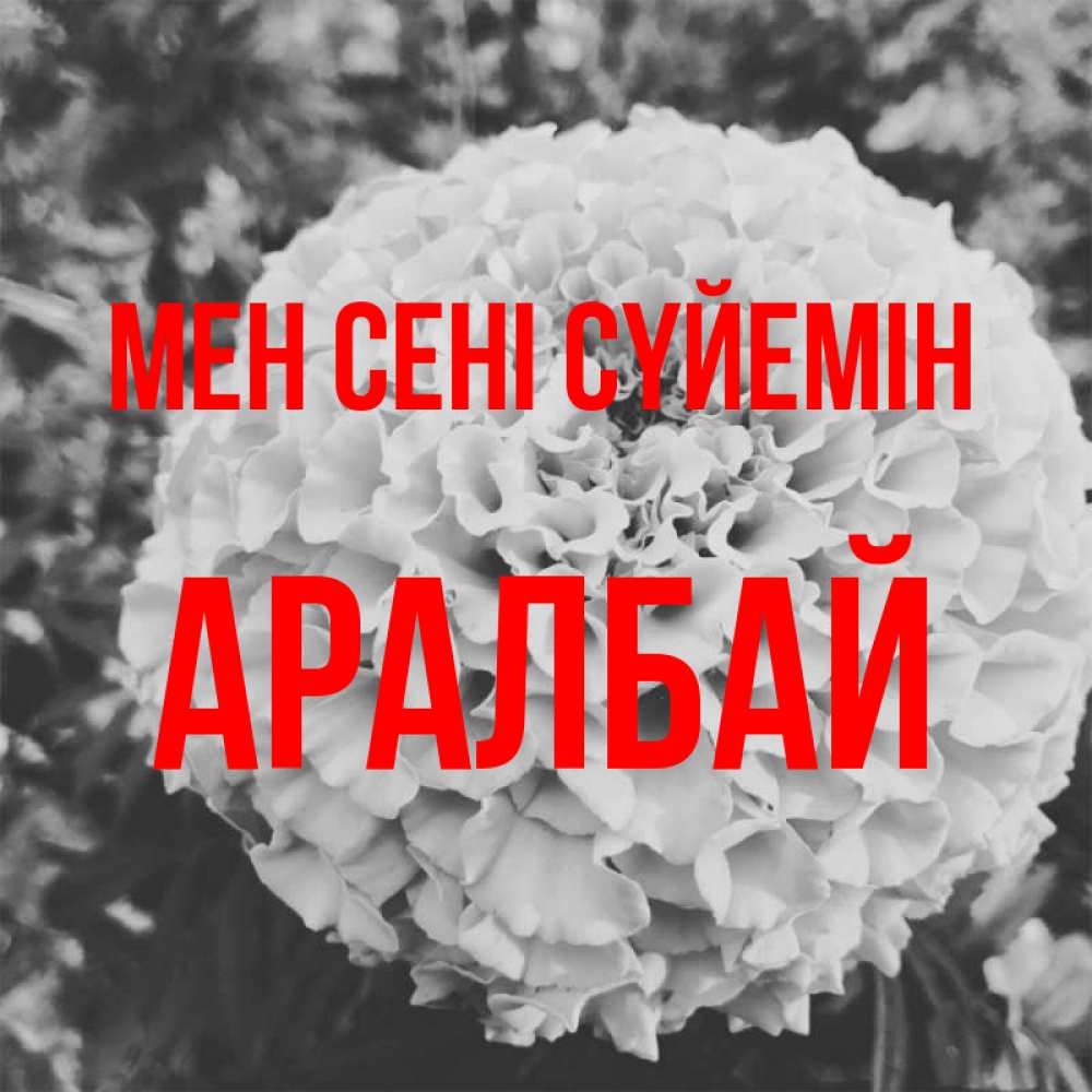 Күн сайын ашық хат с именем, Аралбай Мен сені сүйемін подпись Онлайн тегін жүктеп алу тілектері бар керемет карта 