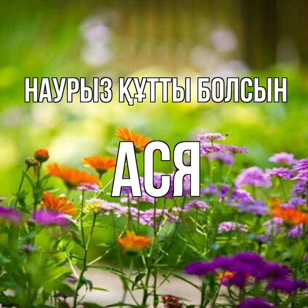 Күн сайын ашық хат с именем, Ася Наурыз құтты болсын цветы Онлайн тегін жүктеп алу тілектері бар керемет карта 