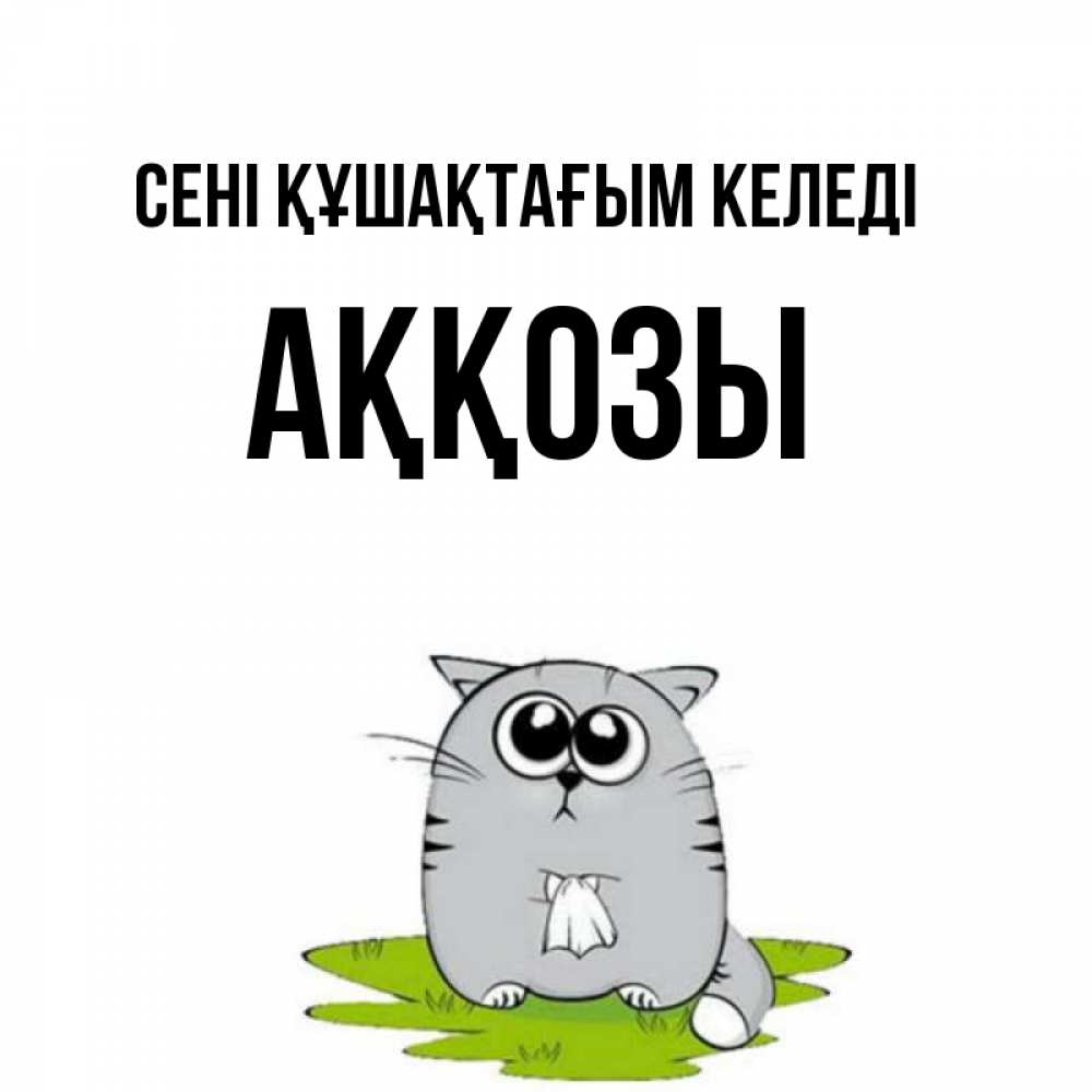 Күн сайын ашық хат с именем, Аққозы сені құшақтағым келеді котик теребит платочек сидя на травке Онлайн тегін жүктеп алу тілектері бар керемет карта 