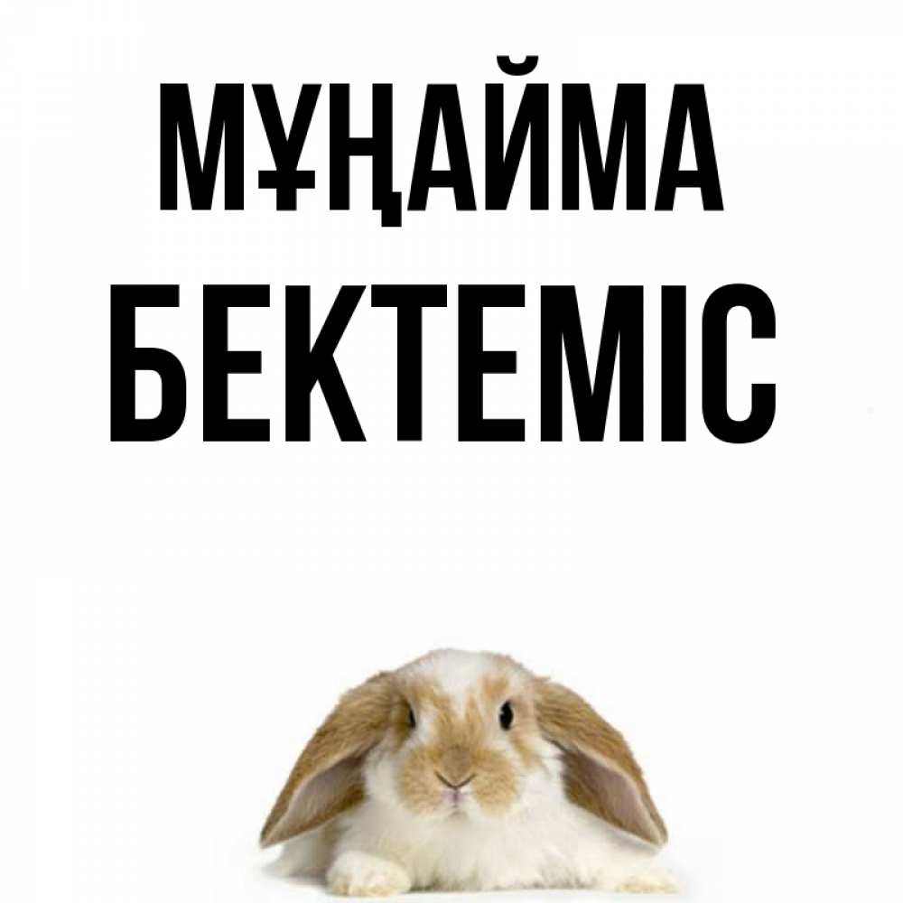 Күн сайын ашық хат с именем, Бектеміс Мұңайма коричнево белый заяц с большими ушками Онлайн тегін жүктеп алу тілектері бар керемет карта 