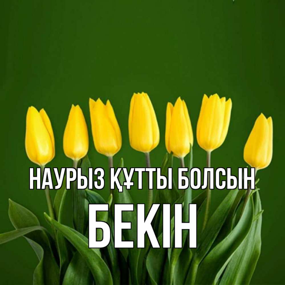 Күн сайын ашық хат с именем, Бекін Наурыз құтты болсын желтого цвета 3 Онлайн тегін жүктеп алу тілектері бар керемет карта 