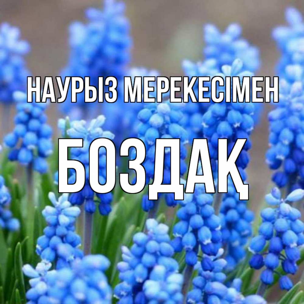 Күн сайын ашық хат с именем, Боздақ Наурыз мерекесімен Поздравительная открытка для женщин с цветами на праздничную дату Онлайн тегін жүктеп алу тілектері бар керемет карта 