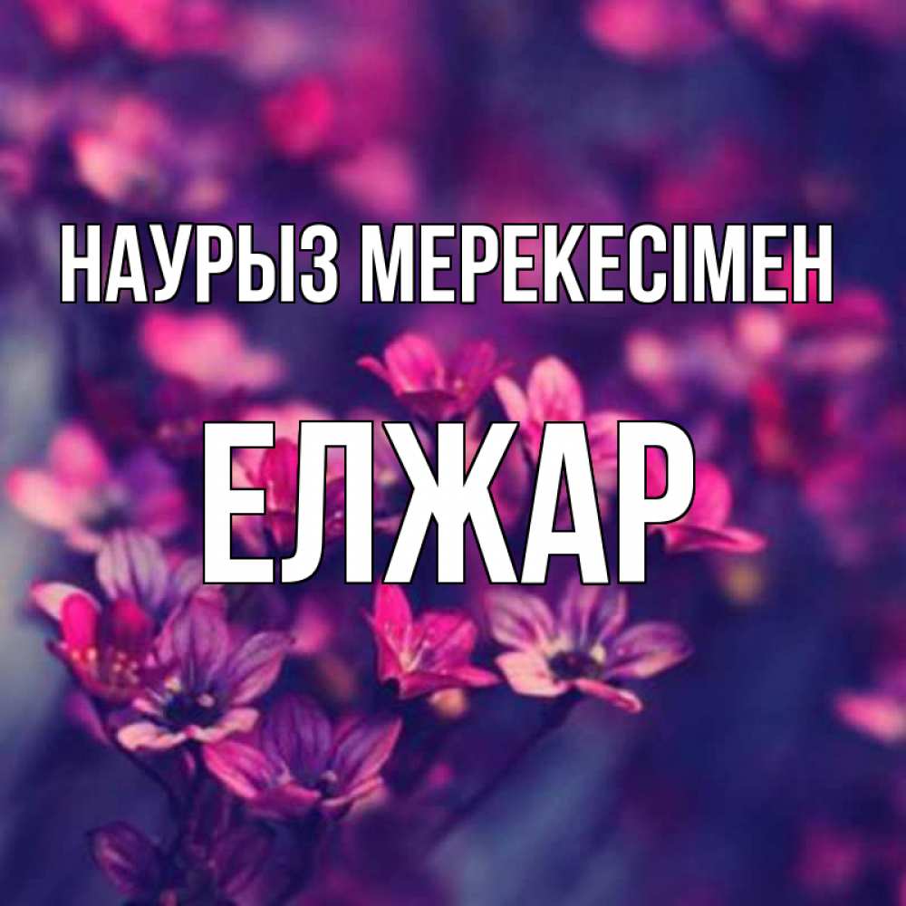Күн сайын ашық хат с именем, Елжар Наурыз мерекесімен небольшие цветы 1 Онлайн тегін жүктеп алу тілектері бар керемет карта 