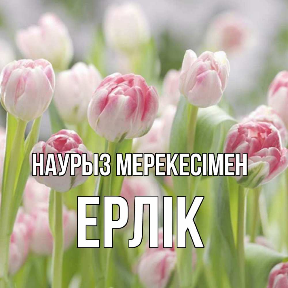 Күн сайын ашық хат с именем, Ерлік Наурыз мерекесімен цветы Онлайн тегін жүктеп алу тілектері бар керемет карта 