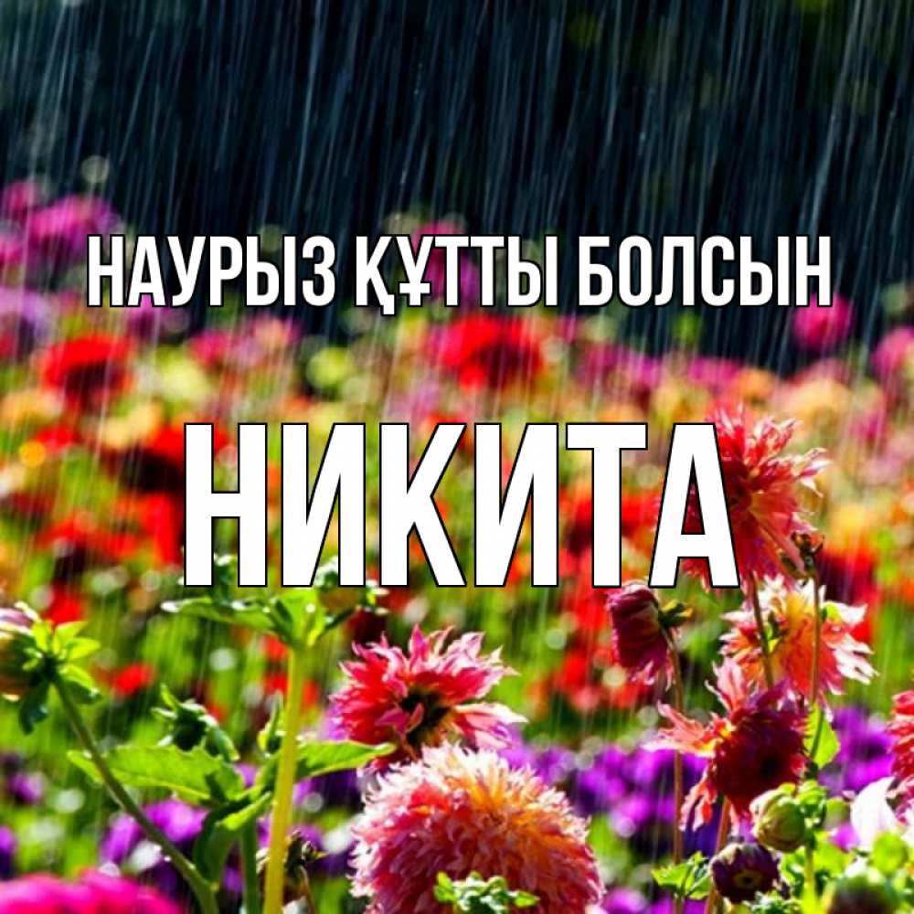 Күн сайын ашық хат с именем, Никита Наурыз құтты болсын цветы под дождиком к наурызу Онлайн тегін жүктеп алу тілектері бар керемет карта 
