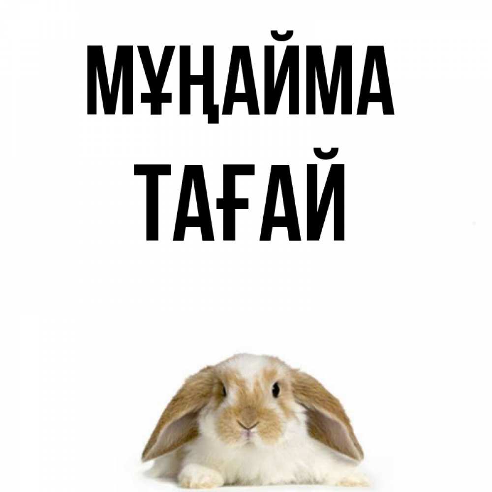 Күн сайын ашық хат с именем, ТАҒАЙ Мұңайма коричнево белый заяц с большими ушками Онлайн тегін жүктеп алу тілектері бар керемет карта 