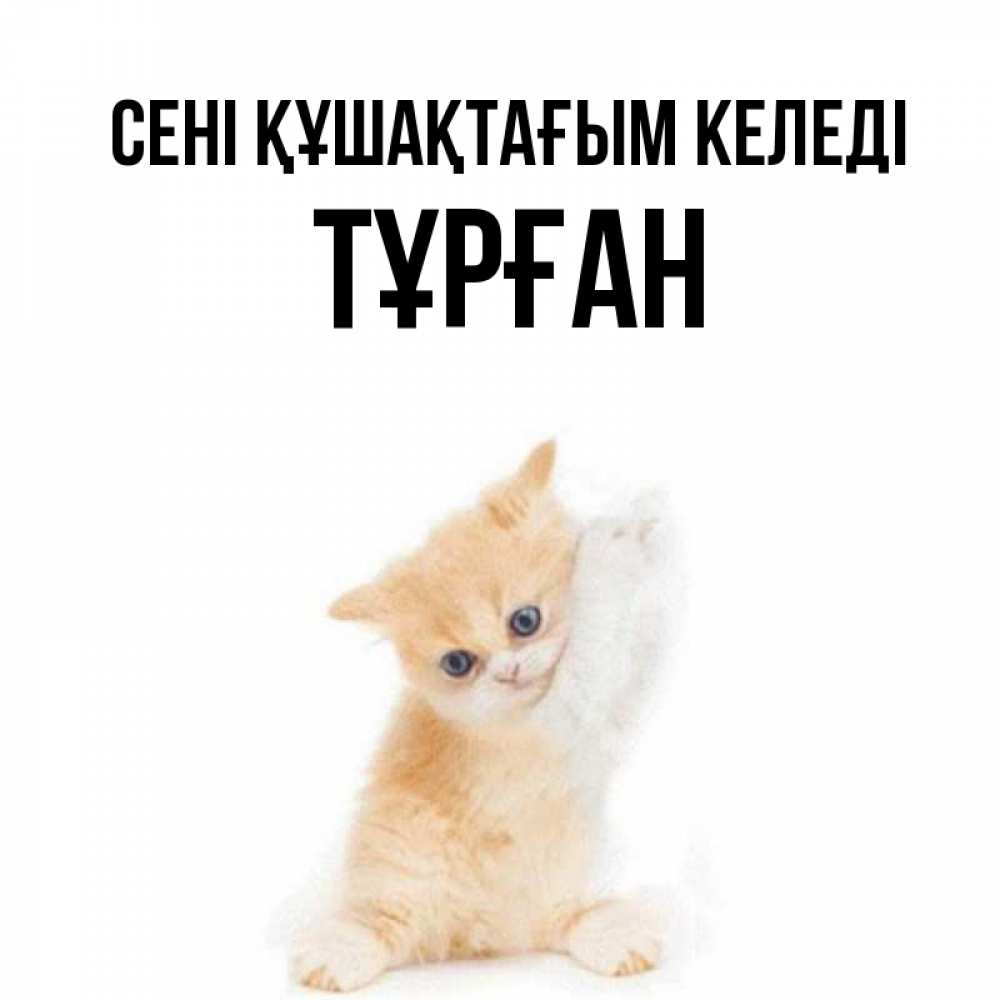 Күн сайын ашық хат с именем, ТҰРҒАН сені құшақтағым келеді я хочу очень скорее обнимаешек Онлайн тегін жүктеп алу тілектері бар керемет карта 