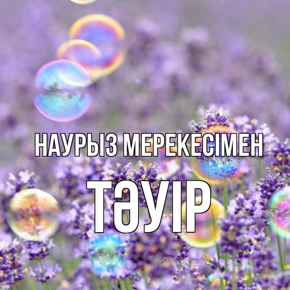 Күн сайын ашық хат с именем, ТӘУІР Наурыз мерекесімен цветы Онлайн тегін жүктеп алу тілектері бар керемет карта 