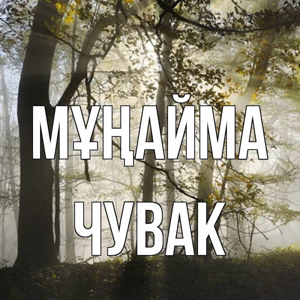 Күн сайын ашық хат с именем, Чувак Мұңайма лес и свет Онлайн тегін жүктеп алу тілектері бар керемет карта 
