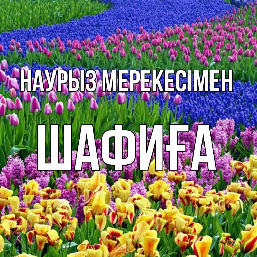 Күн сайын ашық хат с именем, ШАФИҒА Наурыз мерекесімен цветы Онлайн тегін жүктеп алу тілектері бар керемет карта 