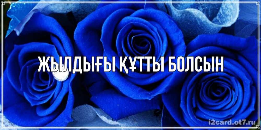 Күн сайын ашық хат с именем, выберите-имя Жылдығы құтты болсын синие розы в росе Онлайн тегін жүктеп алу тілектері бар керемет карта 