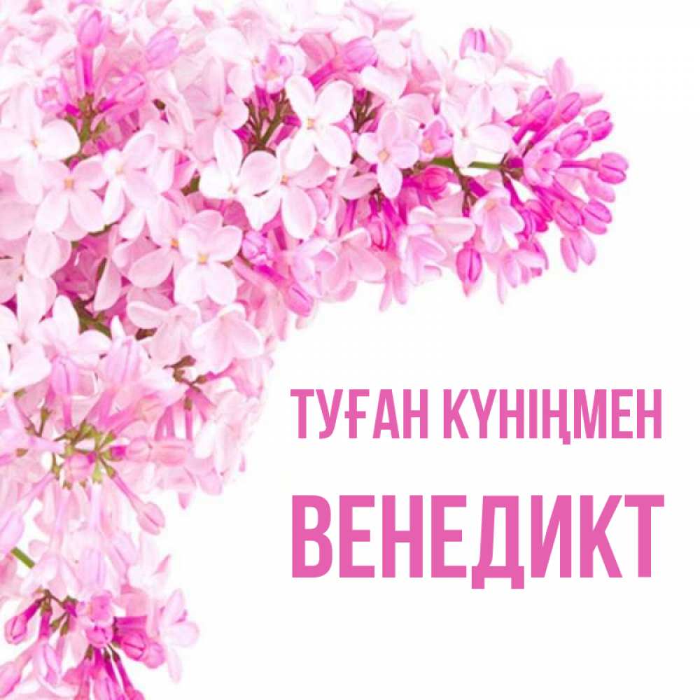 Күн сайын ашық хат с именем, Венедикт Туған күніңмен Сирень на белом фоне Онлайн тегін жүктеп алу тілектері бар керемет карта 