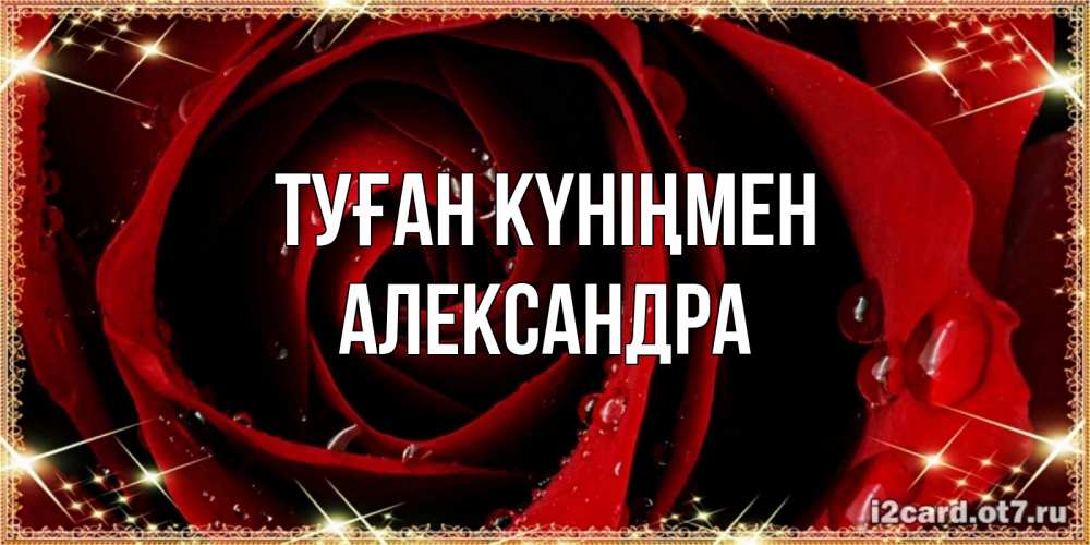Күн сайын ашық хат с именем, Александра Туған күніңмен цветок в росе на день рождения Онлайн тегін жүктеп алу тілектері бар керемет карта 