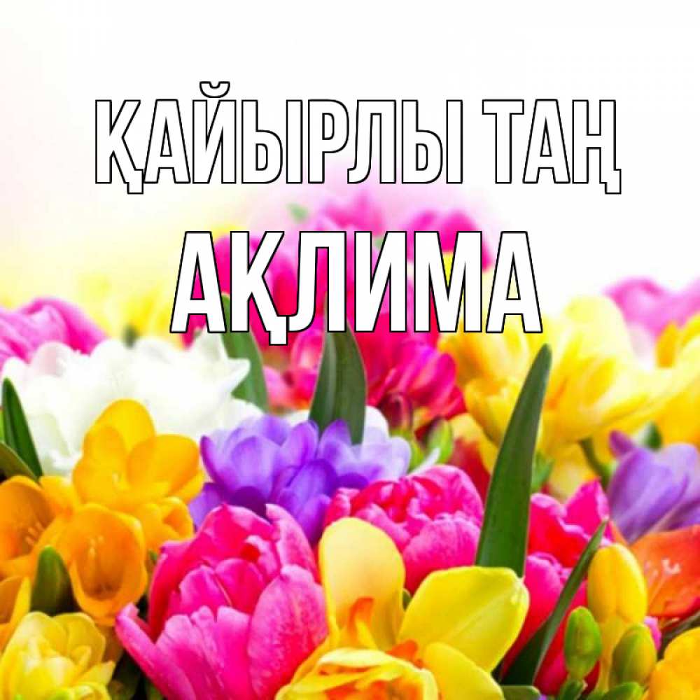 Күн сайын ашық хат с именем, АҚЛИМА Қайырлы таң создать открытку со свое подписью Онлайн тегін жүктеп алу тілектері бар керемет карта 