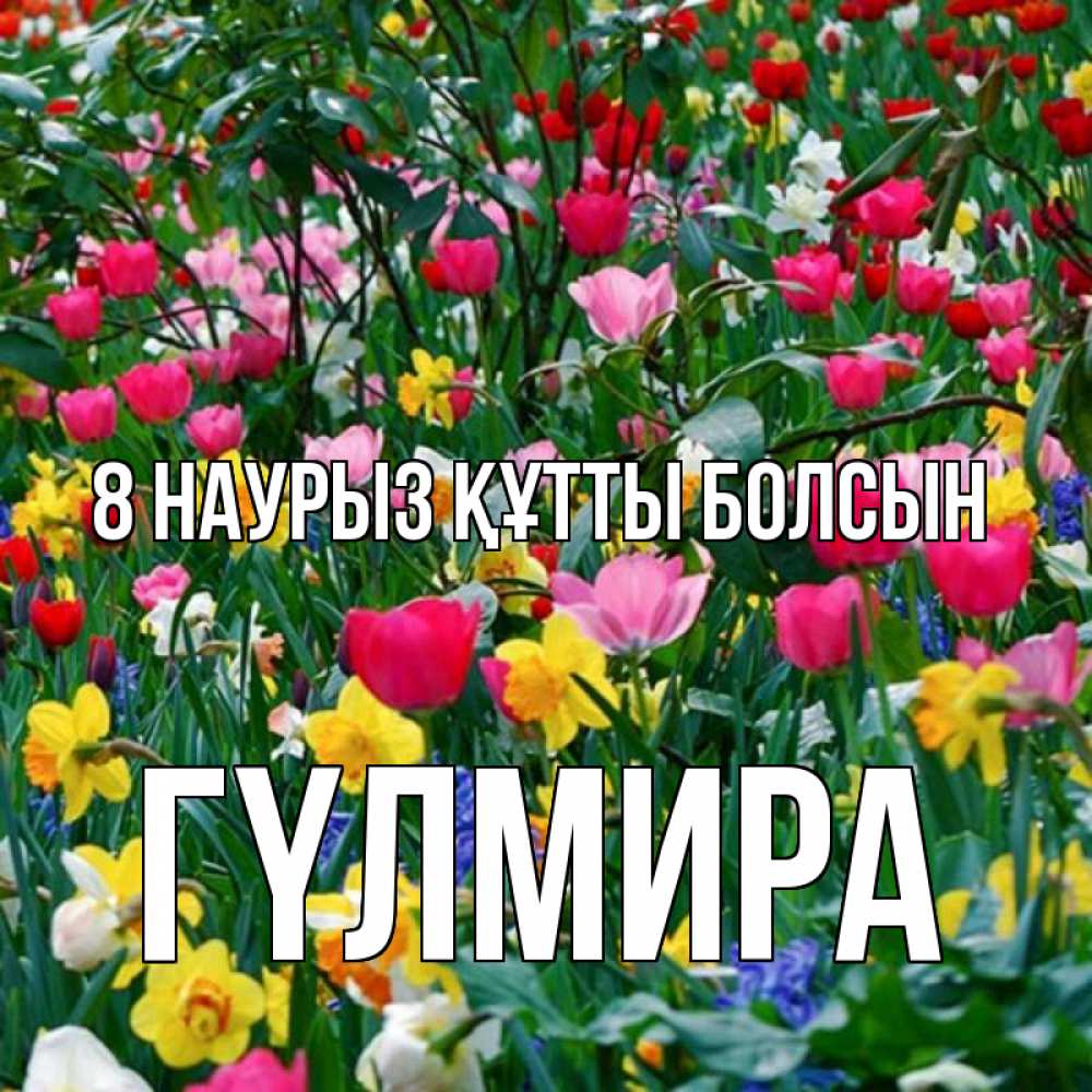 Күн сайын ашық хат с именем, ГҮЛМИРА 8 наурыз құтты болсын с международным женским днем поздравления для женщины Онлайн тегін жүктеп алу тілектері бар керемет карта 