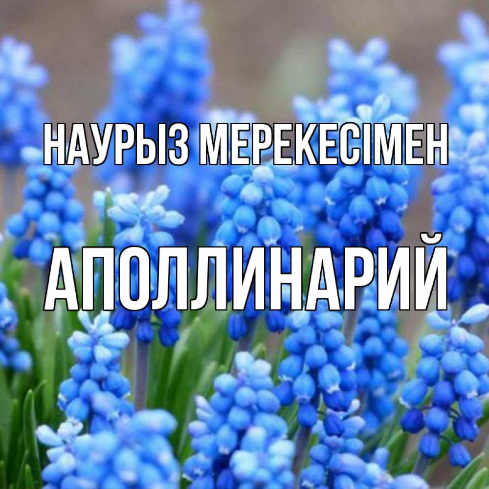 Күн сайын ашық хат с именем, Аполлинарий Наурыз мерекесімен Поздравительная открытка для женщин с цветами на праздничную дату Онлайн тегін жүктеп алу тілектері бар керемет карта 